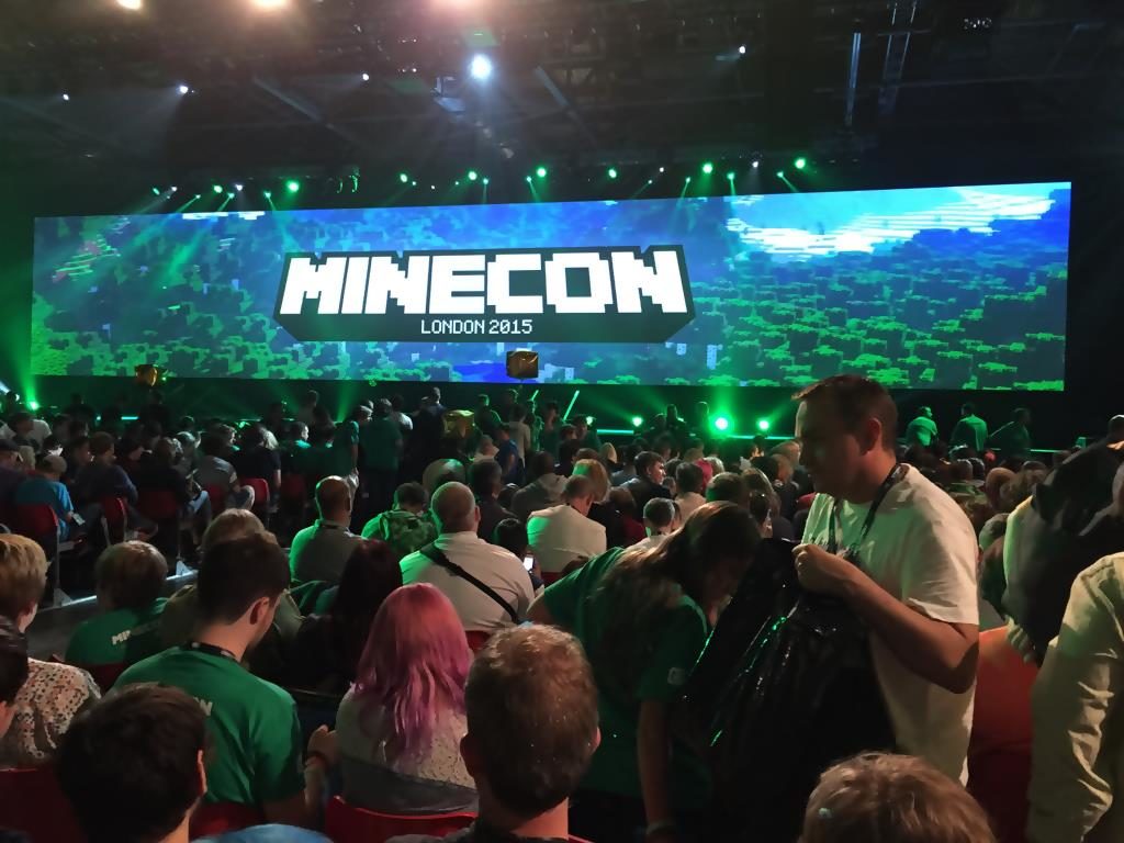 Reception And Products Spawned From Minecraft’s Success